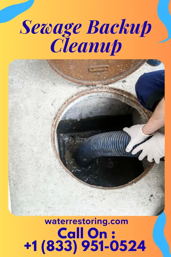 Sewage Backup Cleanup in Simonton, TX