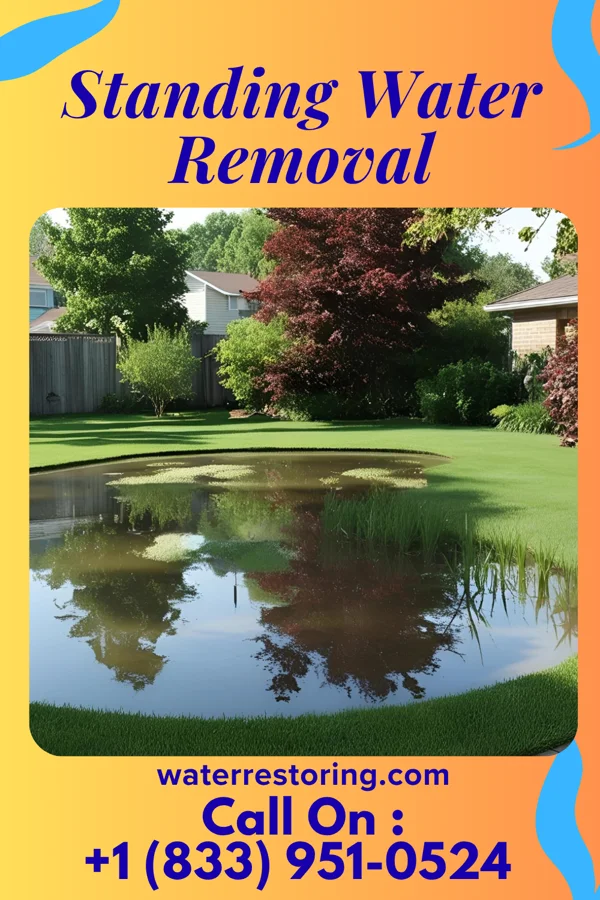 Standing Water Removal in Simonton, TX